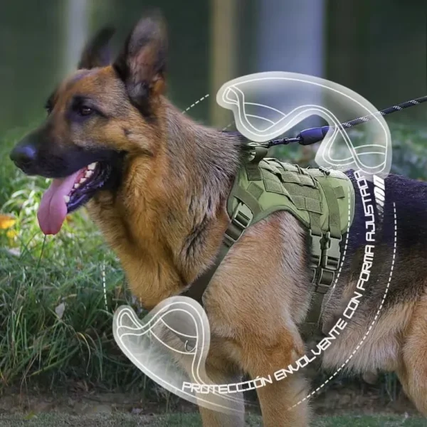 Arnés táctico verde oliva con diseño ergonómico para pastor alemán: ajuste y protección Pastor alemán con arnés táctico verde oliva de ajuste perfecto